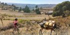 En Ethiopie, la famine au Tigré, une bataille politique