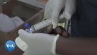 Le Kenya mise sur la production locale de médicaments pour enrayer le paludisme