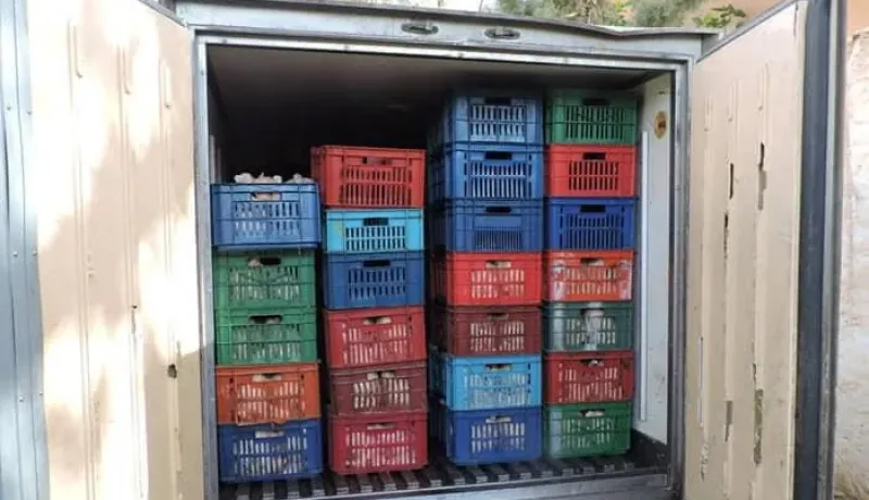 Les autorités saisissent 18,36 quintaux de poulet avariés à El Bayadh