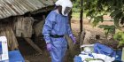 Dix ans après Ebola, la Sierra Leone surveille une autre fièvre tueuse
