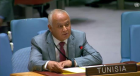 ONU: La Tunisie appelle à stopper le génocide contre les Palestinens