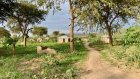 «On a perdu tout ce qu'on avait»: témoignage de réfugiés congolais au camp de Nakivale en Ouganda