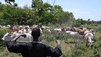 Un nouveau programme de transformation des terres rurales en Côte d’Ivoire