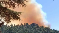 Siliana: Un incendie dans une forêt du mont Bayadh