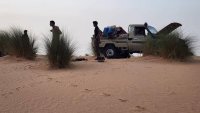 Les combats entre le CSP et le Jnim, «une aubaine» pour l'État malien