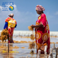 L'Africa Climate Action Initiative et les ONG membres partenaires lancent des réunions de sensibilisation