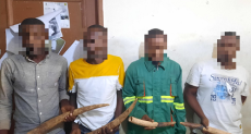 Quatre trafiquants d'ivoires pris dans les mailles de la Police judiciaire de Libreville le jeudi 6 juin