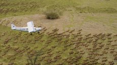 Soudan du Sud : un ambitieux projet de protection de la faune