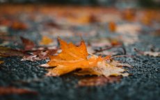 Pluies persistantes en Algérie : découvrez ce que vous réserve la météo pour ce 18 septembre