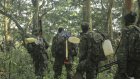 RDC: les bataillons «Jungle», des spécialistes du combat en forêt équatoriale formés par la France