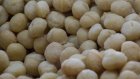 TenSenses mise sur la noix de macadamia au Kenya