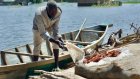 Au Tchad, les soldats de l'eau face au changement climatique