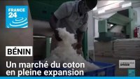 Au Bénin, les investisseurs attirés par un marché du coton en pleine expansion