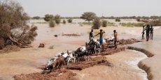 Au Sénégal, des inondations font plus de 56 000 déplacés dans l’est du pays