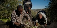 Au Sénégal, des milliers de candidatures pour 350 postes de travailleurs agricoles en Espagne