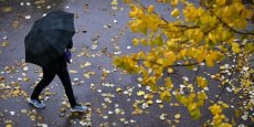 Retour de la pluie en Algérie : vigilance « jaune » dans plusieurs wilayas ce samedi 23 novembre