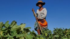 Madagascar: des cours de nutrition en milieu rural pour combattre la malnutrition infantile