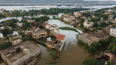 Champs submergés, récoltes perdues: au Mali, les inondations affectent gravement l’agriculture