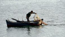 En Tunisie, la colère des pêcheurs et des transporteurs