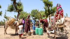 Débat autour des violences faites aux femmes au Tchad : une pétition est lancée