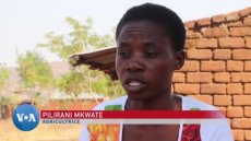 Au Malawi, l'alimentation scolaire nourrit les élèves et profite aux agriculteurs