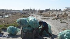 Les barbechas, pilier invisible du recyclage en Tunisie