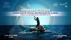 Pêche en Algérie : 57% des pêcheurs en difficulté financière