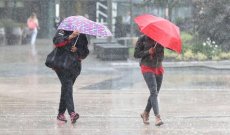 La météo en Algérie ce lundi 11 novembre : pluies persistantes dans plusieurs wilayas du pays !