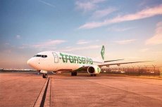 Transavia met en promotion ses vols vers l’Algérie : voici les destinations concernées