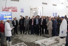 Inauguration d'une halle aux poissons de nouvelle génération au port de Mehdia